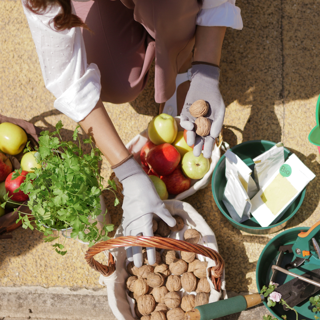 Cultivating Deep Connections Through Homesteading