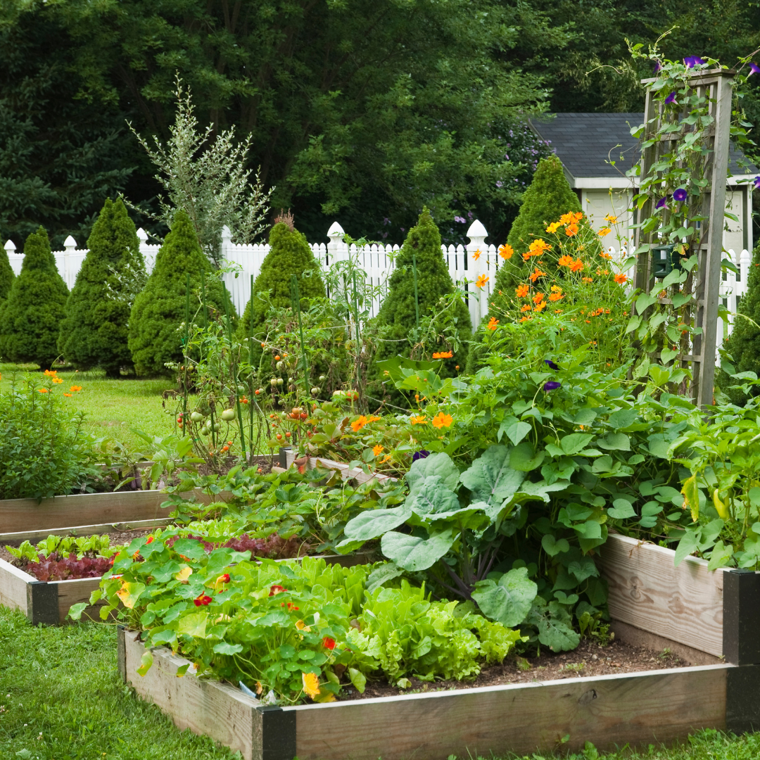 Finding Joy in the Everyday Tasks of Homesteading