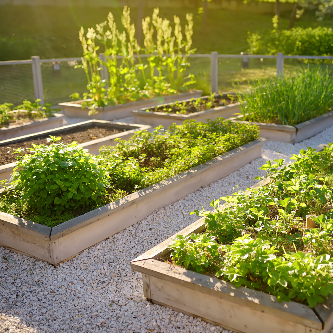 Gardening Goals for the New Year: Start Fresh and Watch Your Garden Flourish