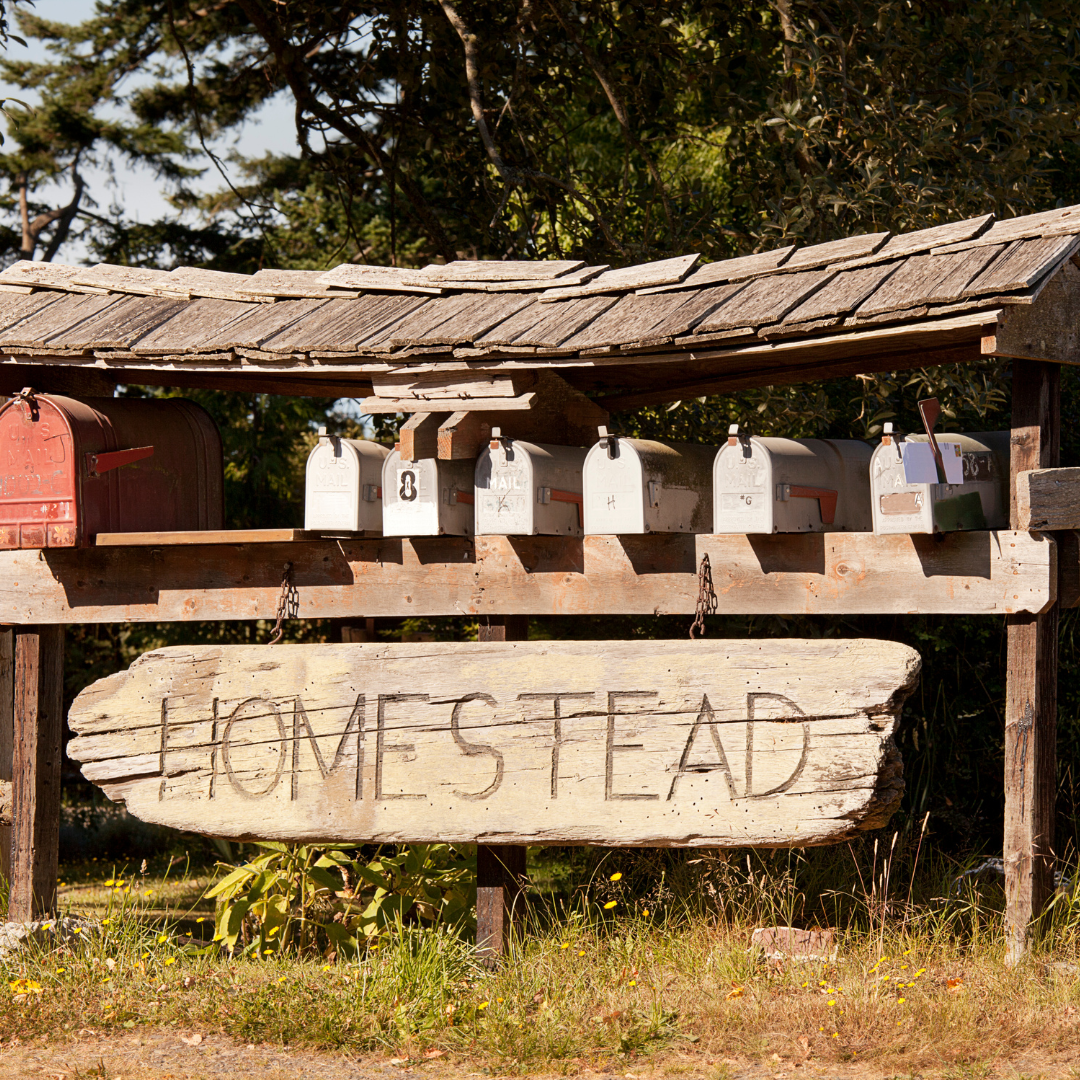 Homesteading Resolutions: Living Closer to the Land in the New Year